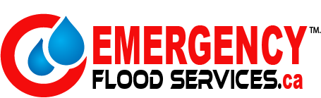 Emergency Flood Services